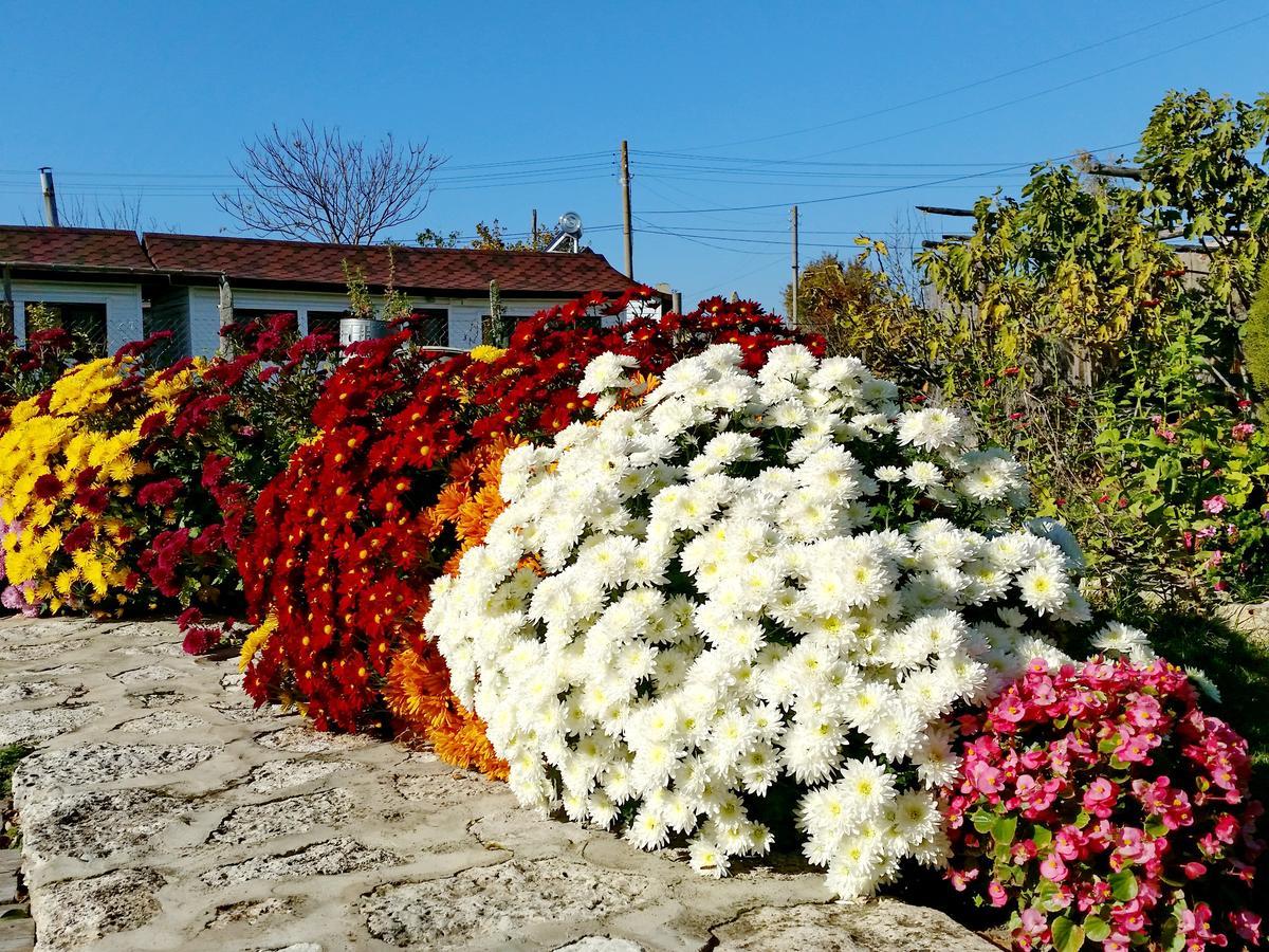 Kosta Bungalows Булгарево Екстериор снимка
